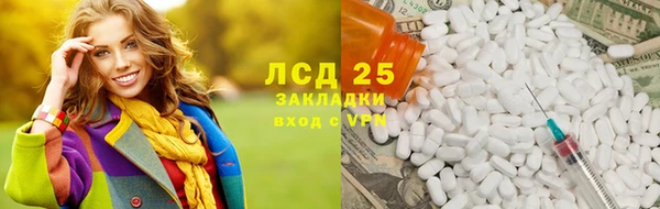 мет Ельня