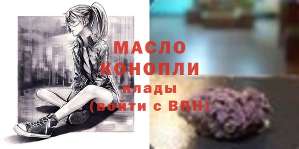 прущие грибы Елабуга