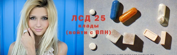 прущие грибы Елабуга