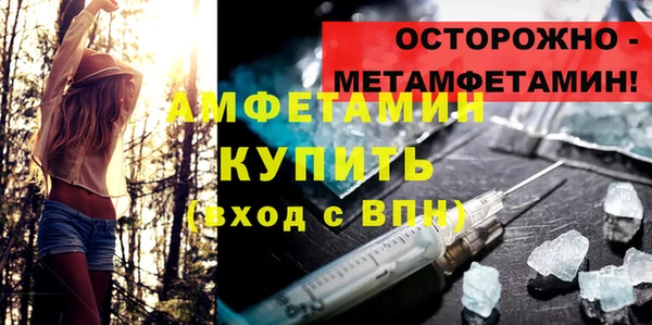 прущие грибы Елабуга