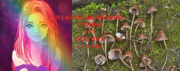 мет Ельня