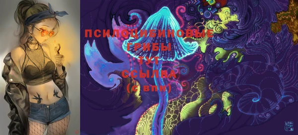мет Ельня