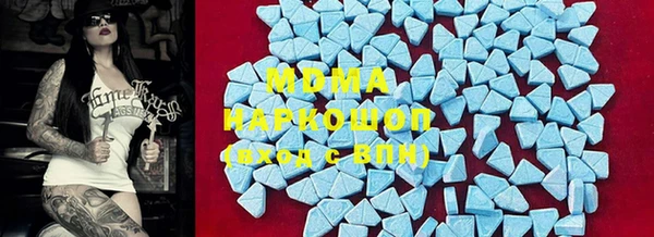 прущие грибы Елабуга