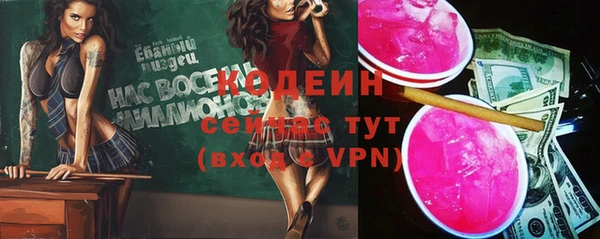прущие грибы Елабуга