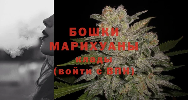 дурь Дмитриев