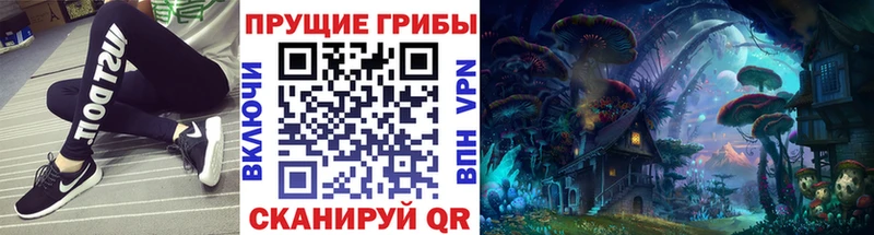 даркнет сайт  Рудня  Галлюциногенные грибы GOLDEN TEACHER 