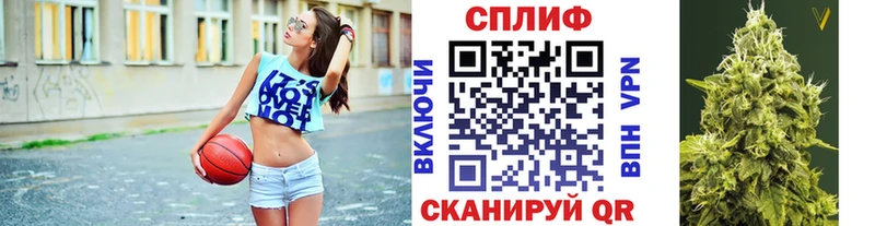 МАРИХУАНА сатива  Рудня 